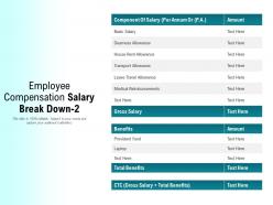 Employee compensation salary break down 2