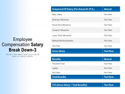Employee compensation salary break down 3