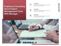 Employee consulting about project management tools with manager