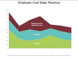 Employee cost sales revenue ppt powerpoint presentation icon tips cpb