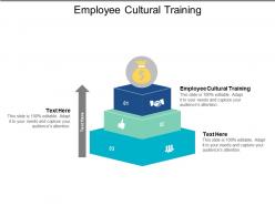 Employee cultural training ppt powerpoint presentation file sample cpb