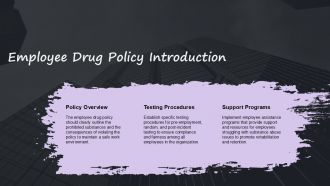 Employee Drug Policy Template PPT Presentation ACP Pre-designed Colorful