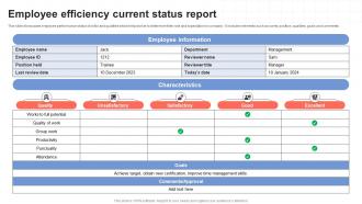 Employee Efficiency Current Status Report