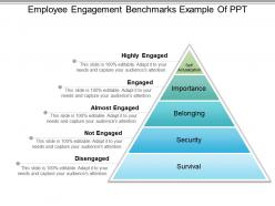 Employee Engagement Benchmarks Example Of Ppt