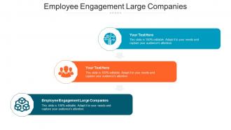 Employee Engagement Large Companies Ppt Powerpoint Presentation Professional Shapes Cpb