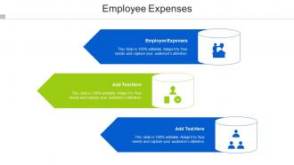 Employee Expenses Ppt Powerpoint Presentation Layouts Ideas Cpb