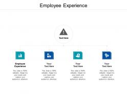 Employee experience ppt powerpoint presentation gallery format cpb