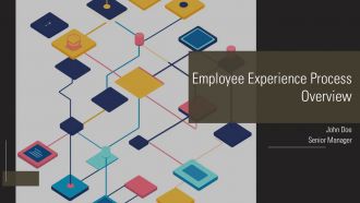 Employee Experience Process Overview PPT Guidelines AT