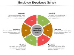 Employee experience survey ppt powerpoint presentation ideas visuals cpb
