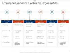Employee experience within an organization employee intellectual growth ppt diagrams