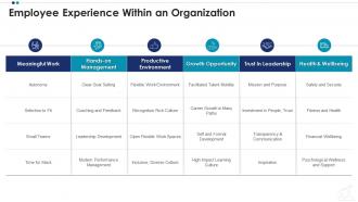 Employee experience within an organization employee professional growth ppt icons