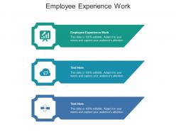 Employee experience work ppt powerpoint presentation inspiration design inspiration cpb