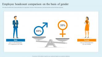 Employee Headcount Comparison On The Basis Of Gender