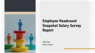 Employee Headcount Snapshot Salary Survey Report PPT Information AT Employee Headcount Snapshot Salary Survey Report PPT Information AT
