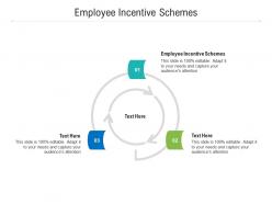 Employee incentive schemes ppt powerpoint presentation file example cpb