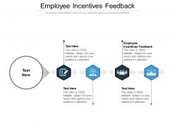 Employee incentives feedback ppt powerpoint presentation model sample cpb