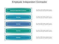 Employee independent contractor ppt powerpoint presentation ideas topics cpb