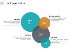 Employee labor ppt powerpoint presentation slides example topics cpb