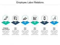 Employee labor relations ppt powerpoint presentation file visual aids cpb