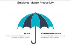 Employee morale productivity ppt powerpoint presentation gallery templates cpb
