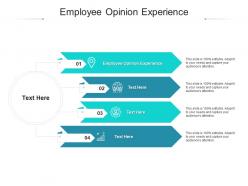 Employee opinion experience ppt powerpoint presentation infographic template graphics download cpb