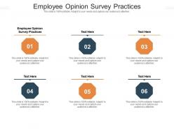 Employee opinion survey practices ppt powerpoint presentation portfolio icons cpb