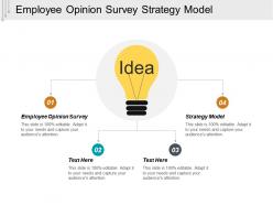 Employee opinion survey strategy model leadership strategy cpb
