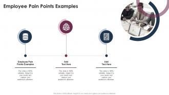 Employee Pain Points Examples In Powerpoint And Google Slides Cpb