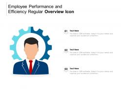 Employee performance and efficiency regular overview icon