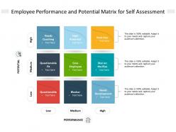 Employee performance and potential matrix for self assessment