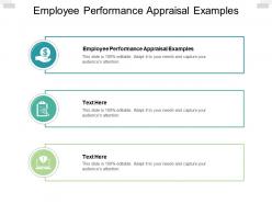 Employee performance appraisal examples ppt powerpoint presentation outline cpb