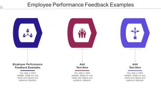 Employee Performance Feedback Examples Ppt Powerpoint Presentation Styles Cpb