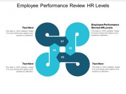 Employee performance review hr levels ppt powerpoint presentation portfolio cpb