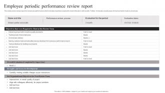Employee Periodic Performance Review Report