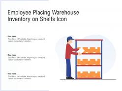 Employee Placing Warehouse Inventory On Shelfs Icon