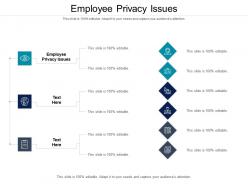 Employee privacy issues ppt powerpoint presentation portfolio layout cpb