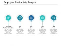 Employee productivity analysis ppt powerpoint presentation infographics information cpb