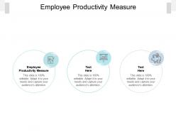 Employee productivity measure ppt powerpoint presentation model gallery cpb