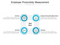 Employee productivity measurement ppt powerpoint presentation ideas maker cpb