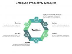 Employee productivity measures ppt powerpoint presentation show ideas cpb