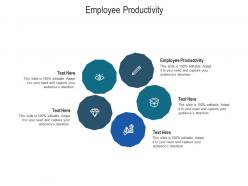 Employee productivity ppt powerpoint presentation file summary cpb
