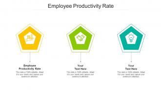 Employee Productivity Rate Ppt Powerpoint Presentation Outline Sample Cpb