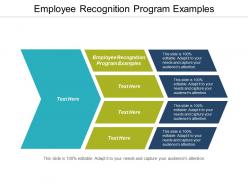 Employee recognition program examples ppt powerpoint presentation gallery display cpb