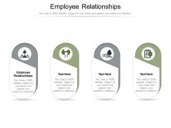 Employee relationships ppt powerpoint presentation inspiration gridlines cpb