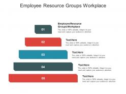 Employee resource groups workplace ppt powerpoint presentation infographics cpb