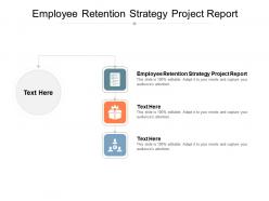 Employee retention strategy project report ppt powerpoint presentation styles graphics pictures cpb