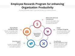 Employee rewards program for enhancing organization productivity