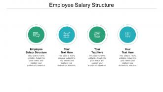 Employee salary structure ppt powerpoint presentation visual aids example 2015 cpb