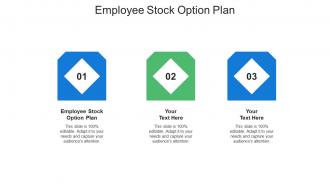 Employee stock option plan ppt powerpoint presentation outline file formats cpb