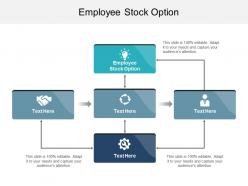 Employee stock option ppt powerpoint presentation infographic template infographic cpb
